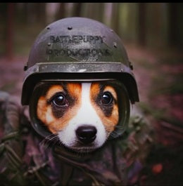 Battle Puppy